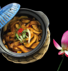 Nấm Tô Đông Pha